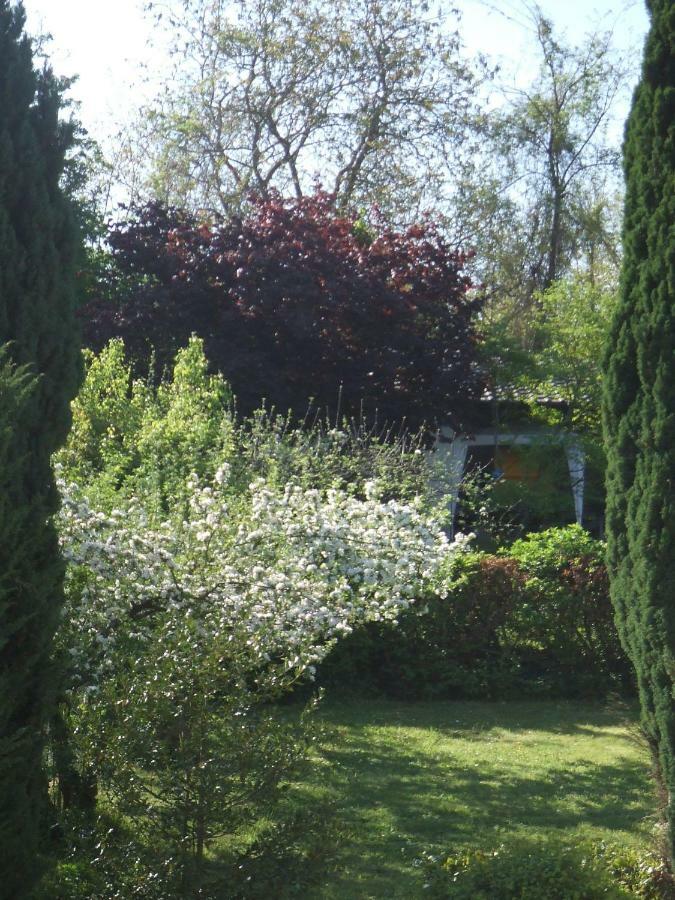 ホテル La Rose Tremiere Wintzenheim-Kochersberg エクステリア 写真